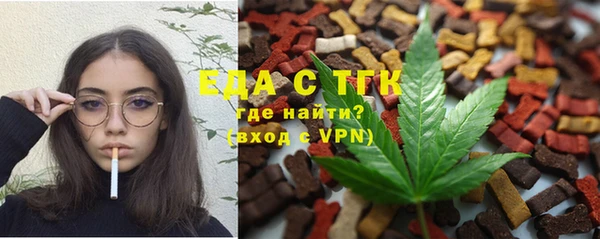 индика Абинск