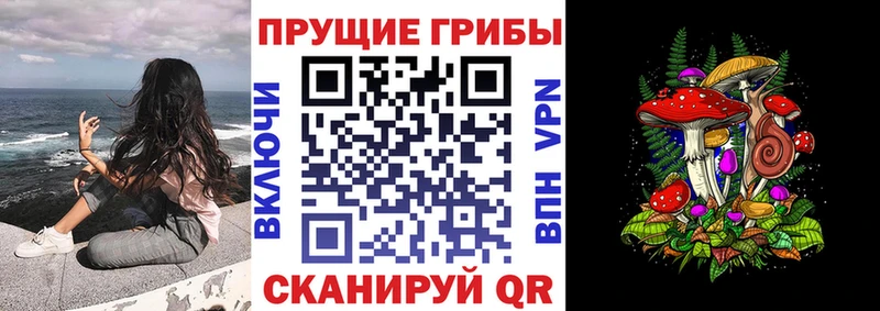 где найти наркотики  Елизово  Псилоцибиновые грибы MAGIC MUSHROOMS 