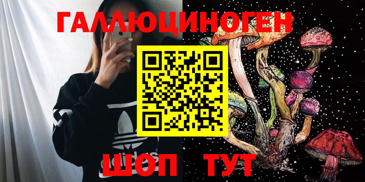 Галлюциногенные грибы Psilocybine cubensis Елизово