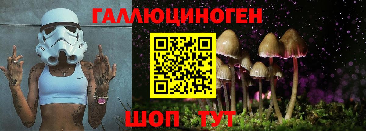 Галлюциногенные грибы Psilocybe  Вход с VPN  Псилоцибиновые грибы прущие грибы  Елизово 